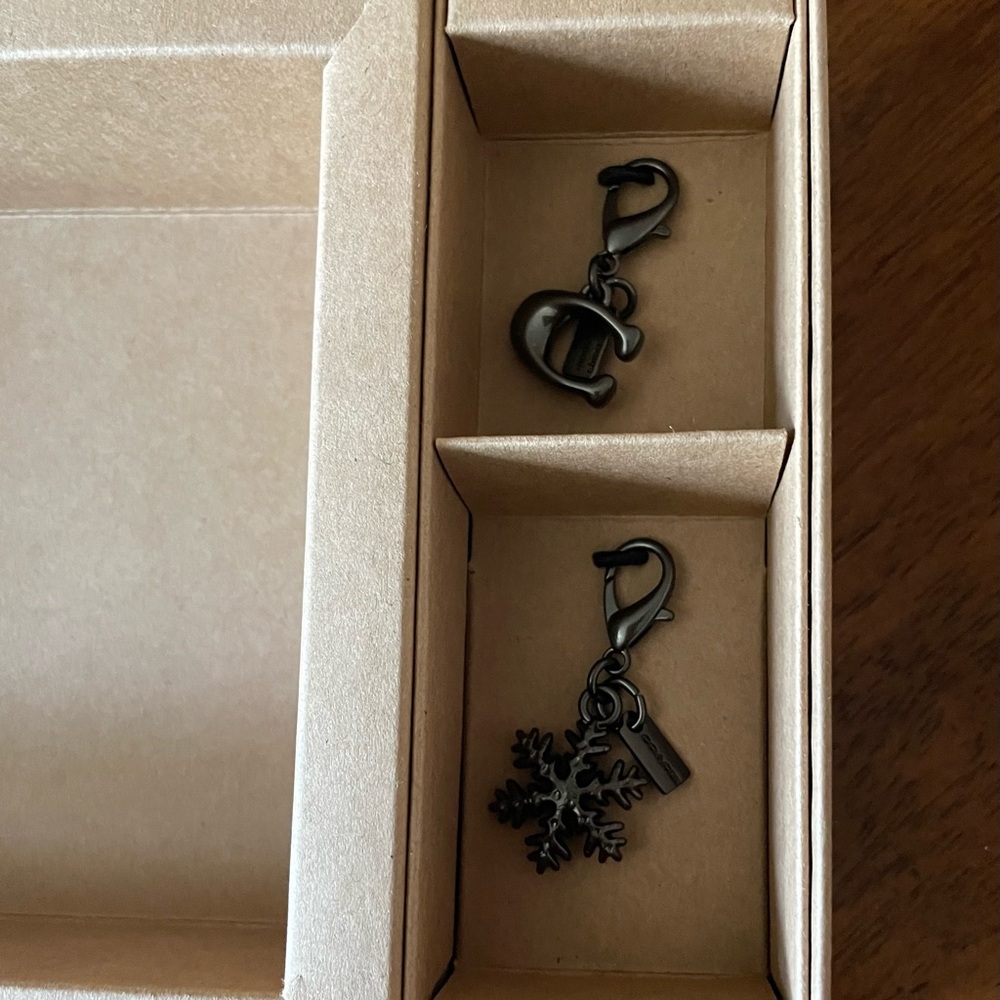 Coach Box With Charms